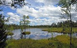 Německo - Německo - Schwarzwald - Kaltenbronn Wildsee